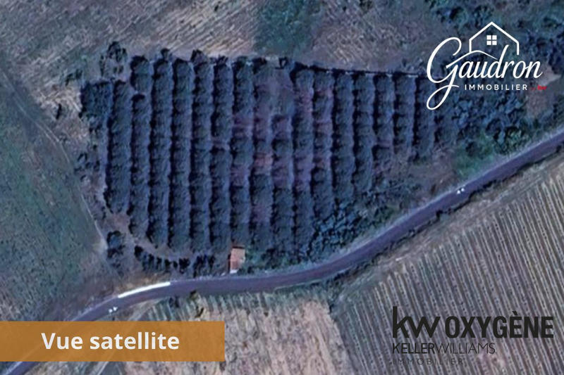 Terrain agricole - 6 070 m²