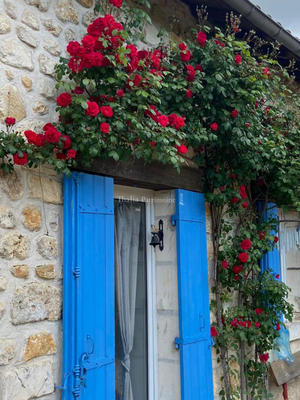 Maison - 213 m² - 7 pièces