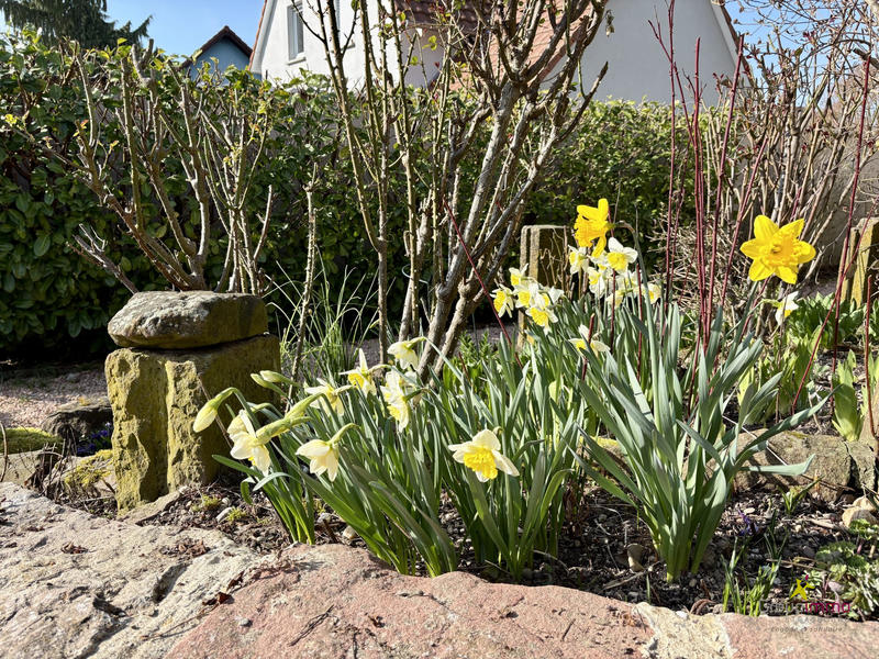 Maison - 245 m² - 8 pièces