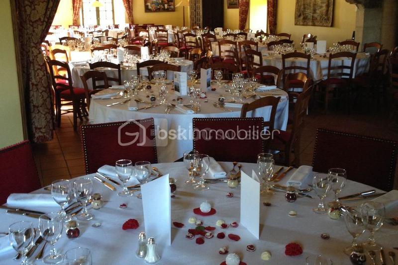 Château - 700 m² - 21 pièces