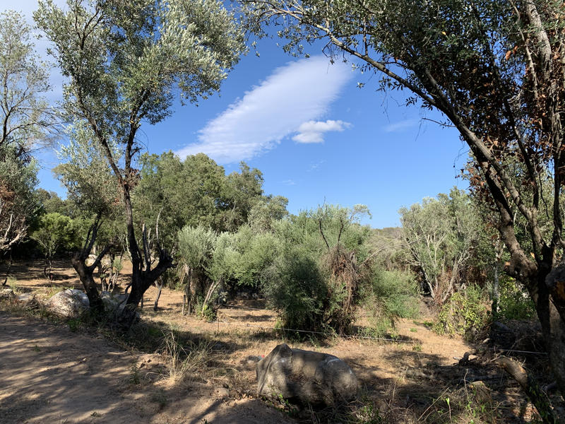 Villa - 77 m² - 4 pièces