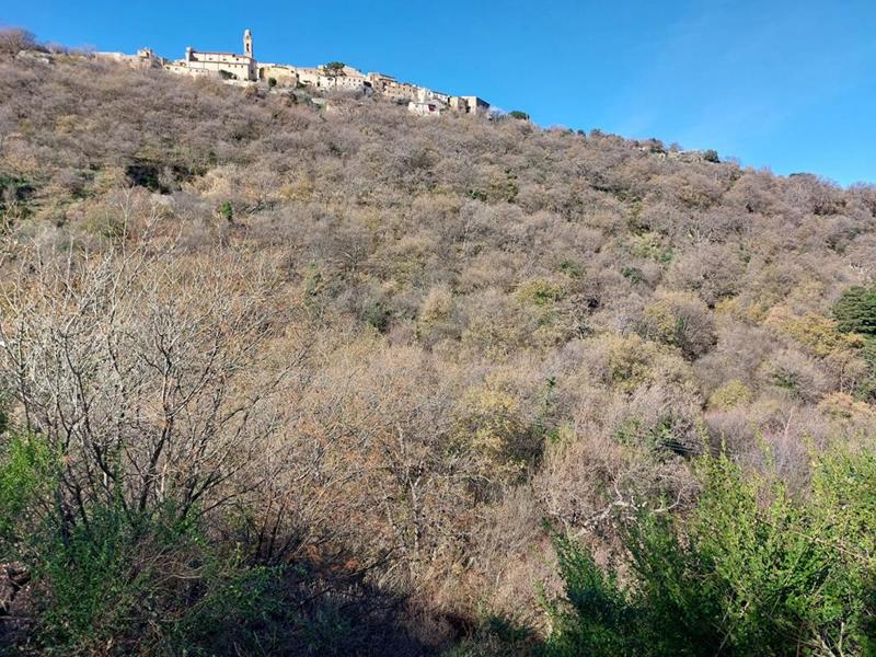 Terrain constructible - 3 803 m²