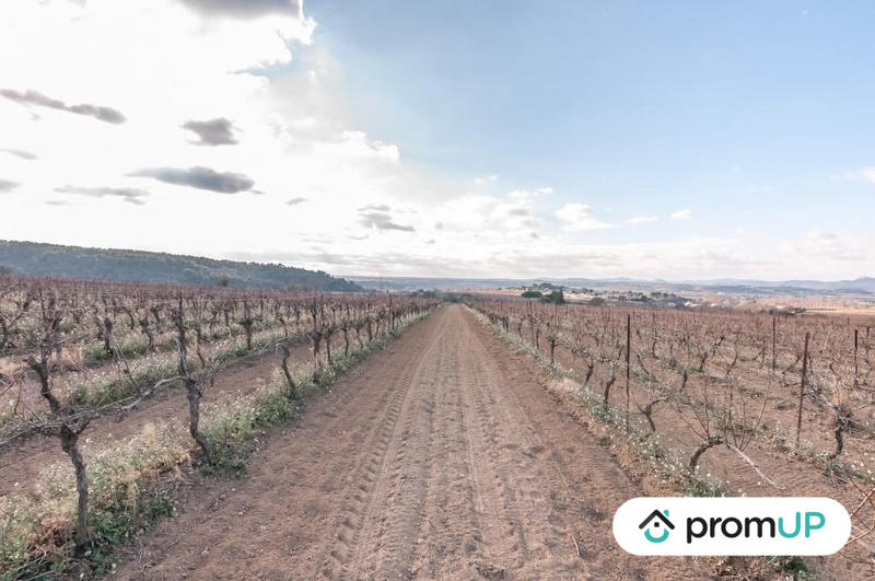 Terrain agricole - 57 000 m²