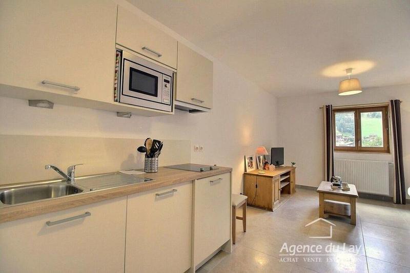 Studio - 28 m² - 1 pièce