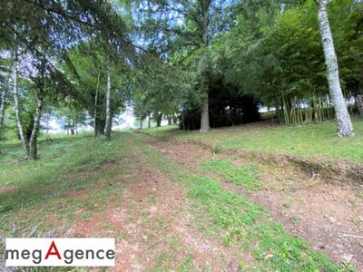 Terrain constructible - 2 384 m²