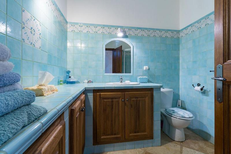 Mas - 691 m² - 13 pièces