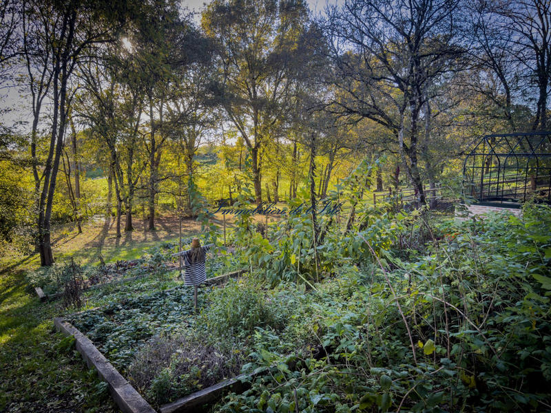 Maison - 220 m² - 9 pièces