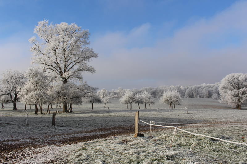 Michel et Alain Fermiers bio