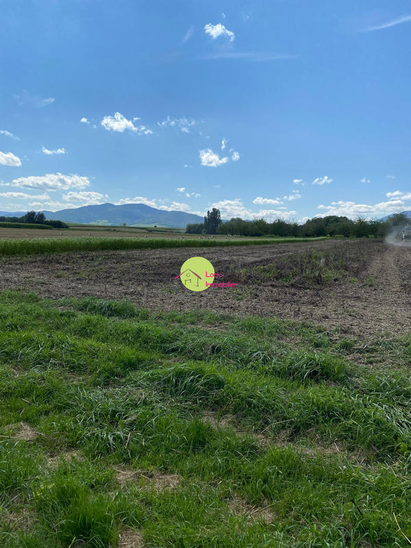 Maison - 96 m² - 5 pièces