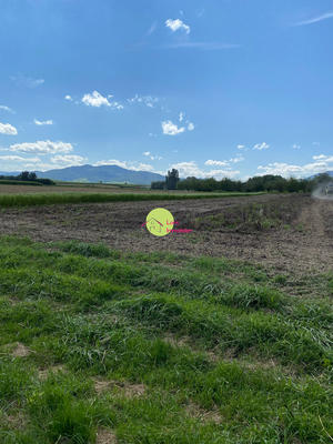 Maison - 96 m² - 5 pièces