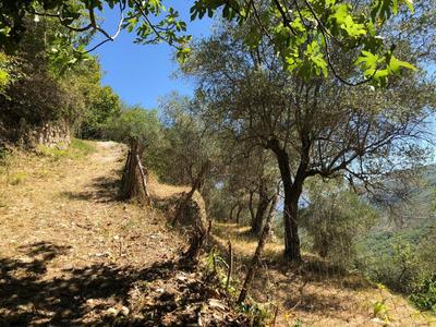 Maison de village - 65 m² - 3 pièces