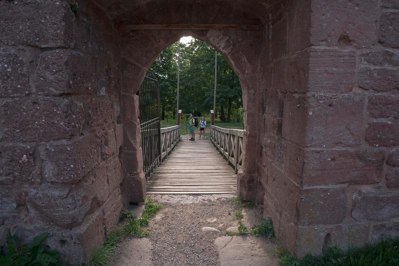 Concours d’illustration « Dessine-moi une créature de la terre ! »