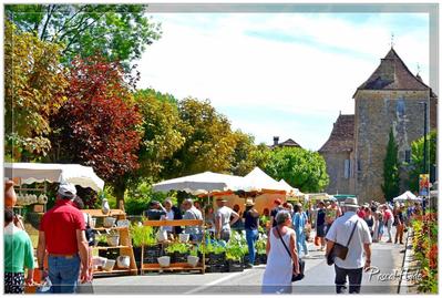 Fête des plantes rares et de collections