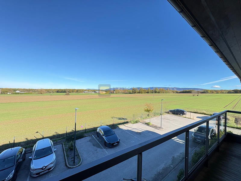 Appartement - 41 m² - 2 pièces