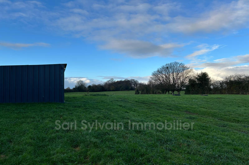 Maison - 137 m² - 5 pièces