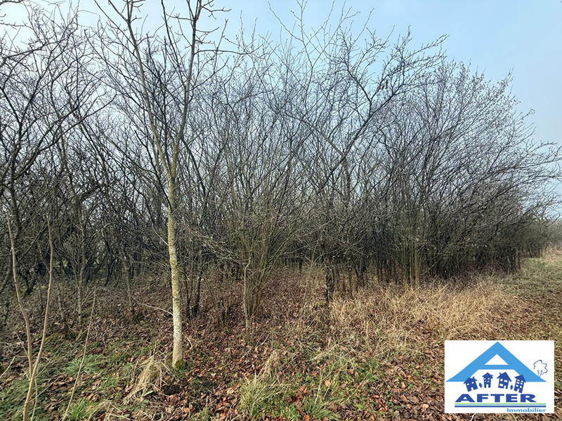 Terrain agricole - 1 485 m²