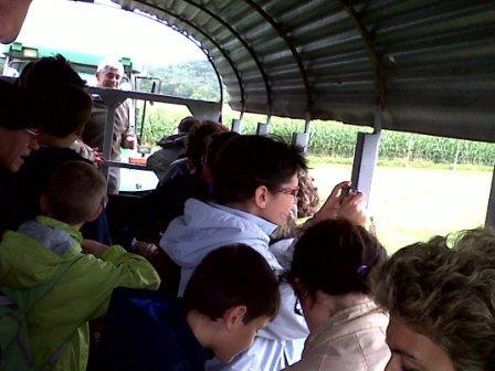 Ferrade à la Ganaderia de Maynus