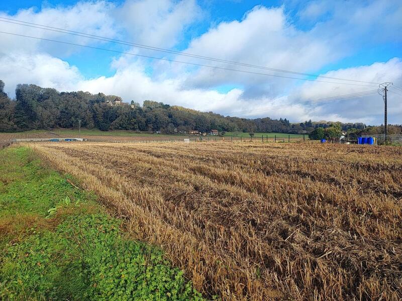 Terrain agricole - 7 891 m²