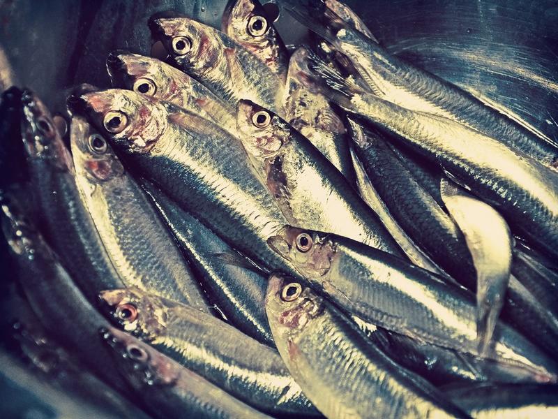 Marché aux poissons