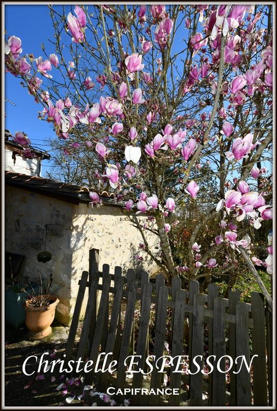 Maison - 174 m² - 6 pièces