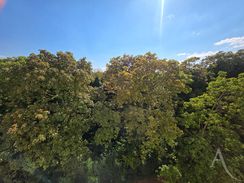 Appartement - 72 m² - 4 pièces