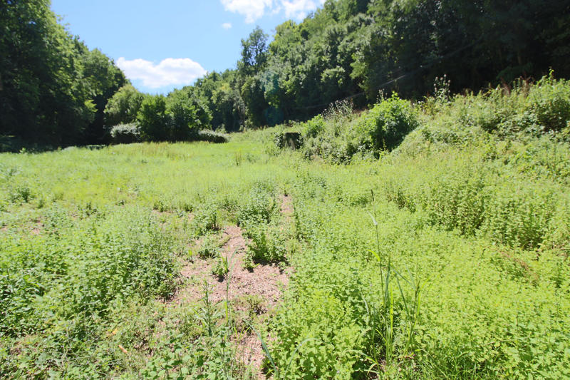 Terrain agricole - 7 451 m²