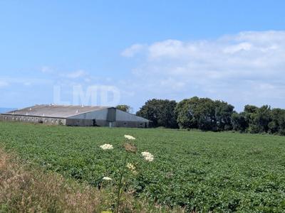 Terrain agricole - 30 080 m²