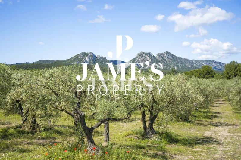 Propriété - 415 m² - 9 pièces