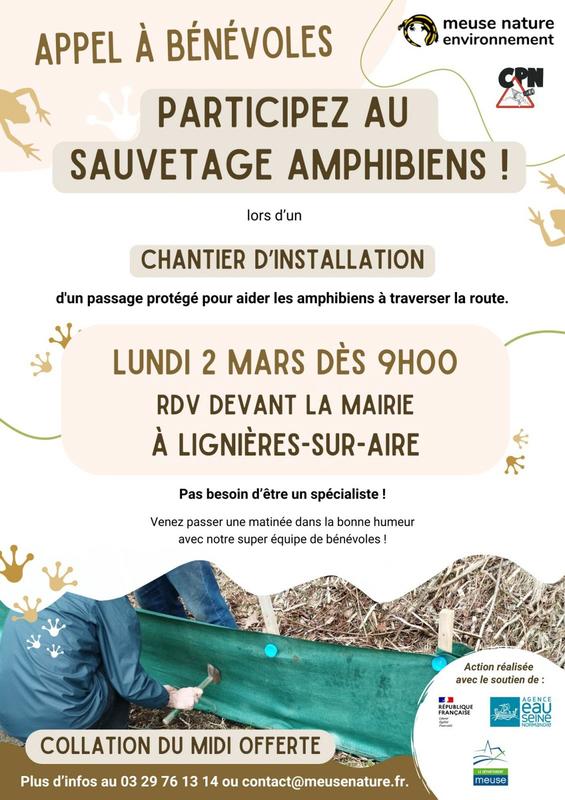 Sauver les amphibiens