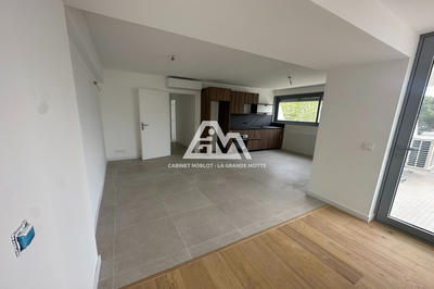 Appartement - 55 m² - 2 pièces