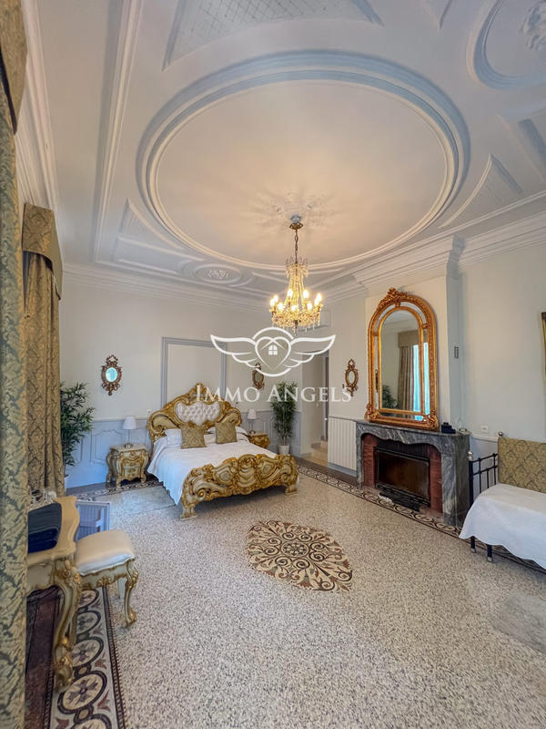 Château - 1 400 m² - 38 pièces