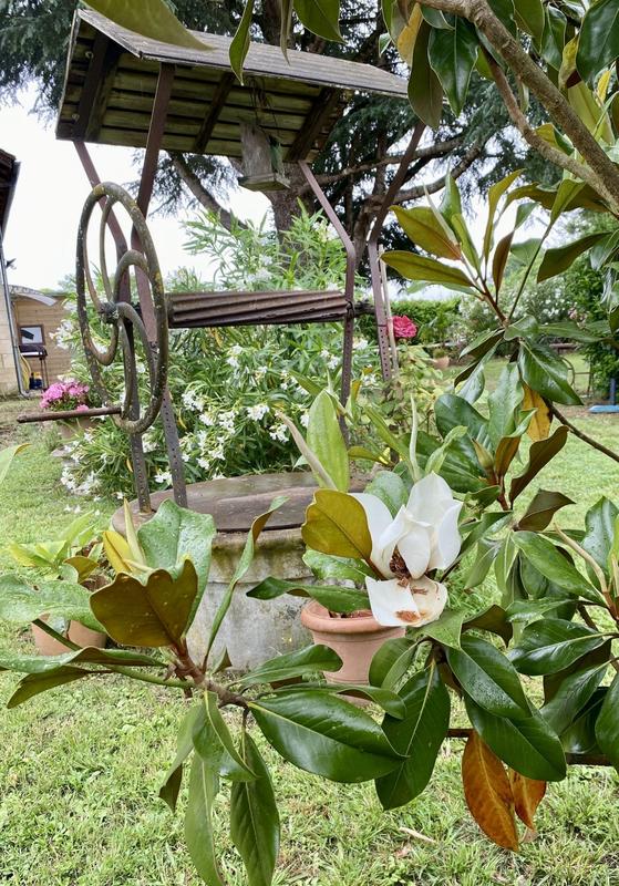 Maison ancienne - 207 m² - 8 pièces