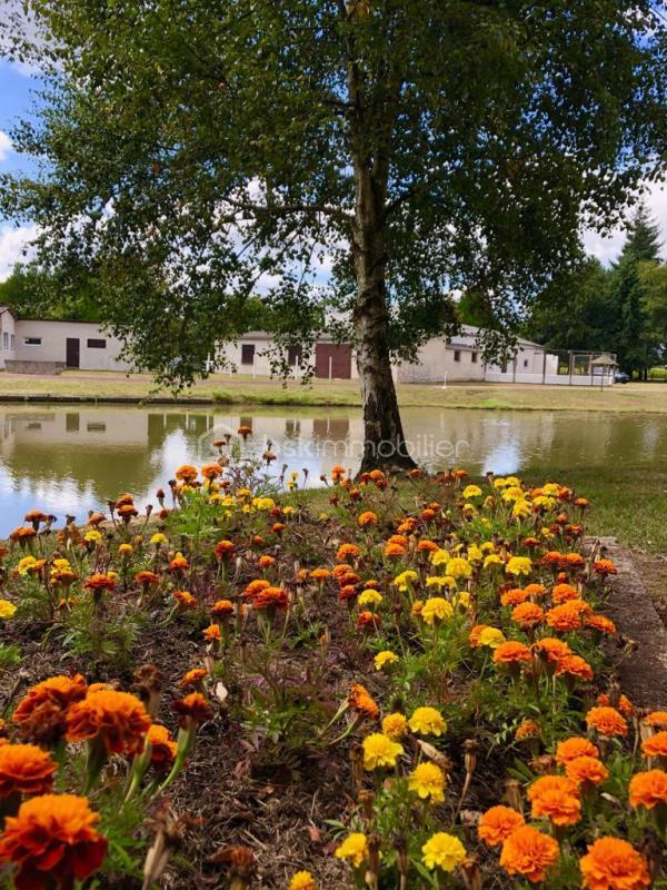 Maison - 380 m² - 4 pièces