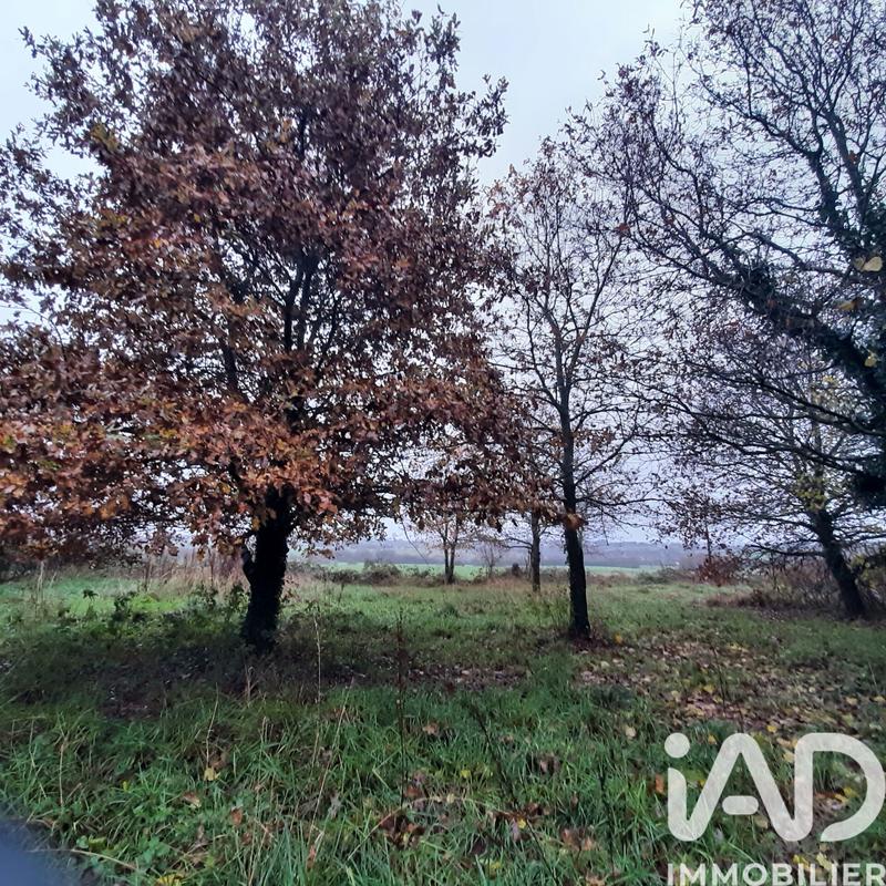 Maison de campagne - 60 m² - 2 pièces