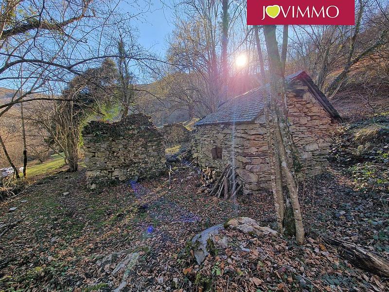 Maison - 50 m² - 1 pièce