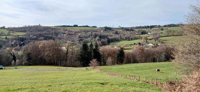 Maison en pierre - 117 m² - 6 pièces