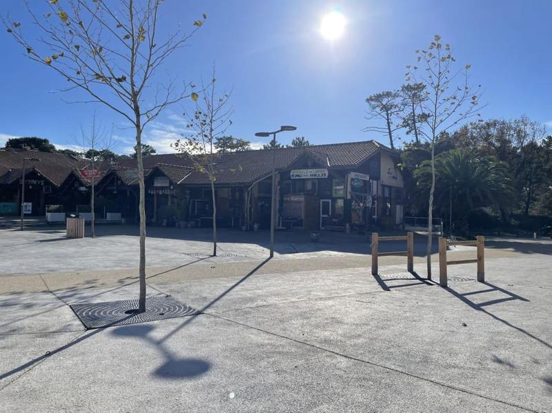 Bureau - 46 m² - 1 pièce