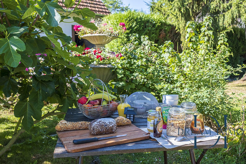 Maison - 288 m² - 13 pièces