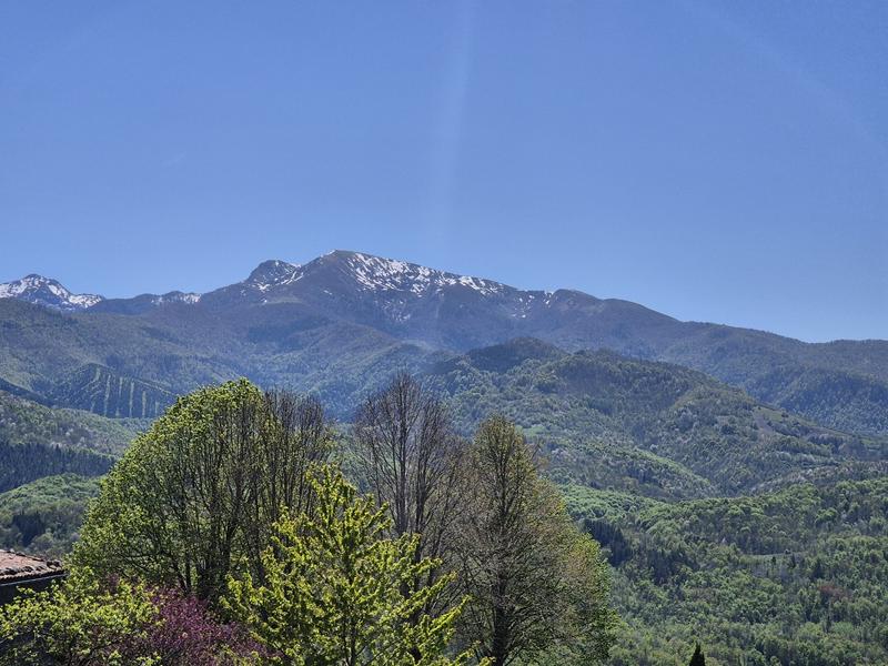 Maison ancienne - 380 m² - 8 pièces