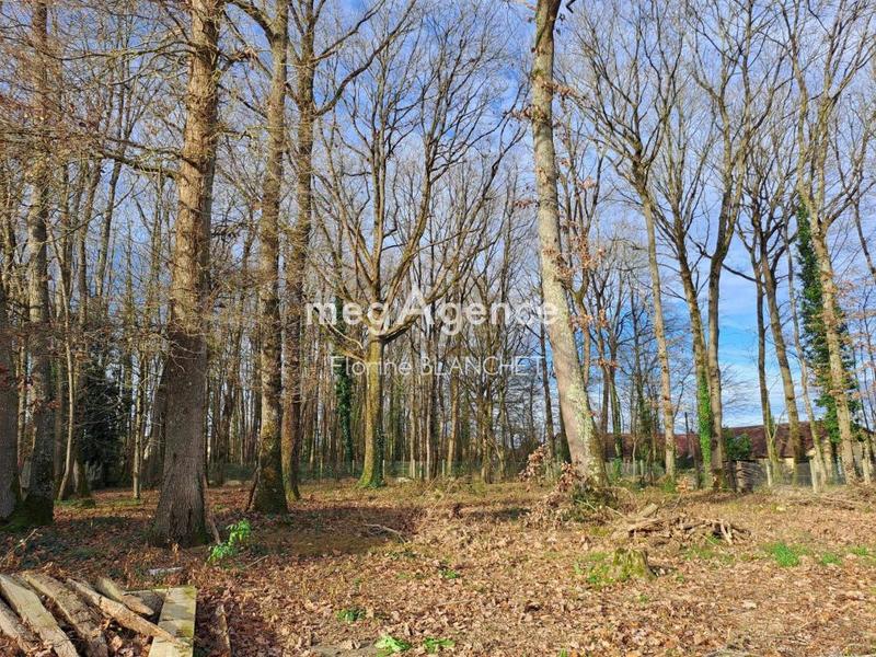 Maison - 124 m² - 4 pièces