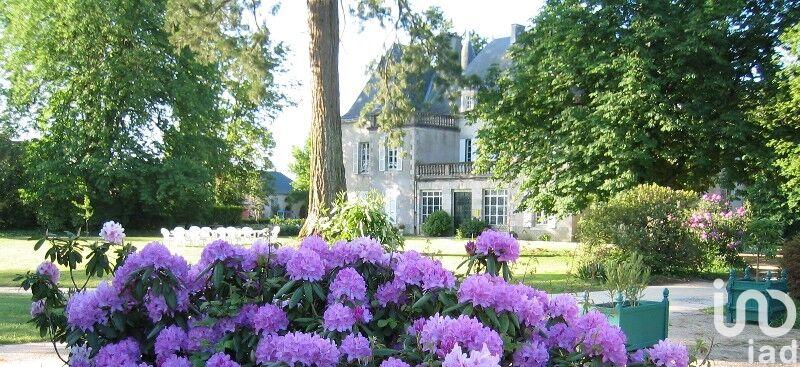 Château - 550 m² - 12 pièces