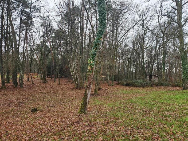 Maison de campagne - 263 m² - 5 pièces