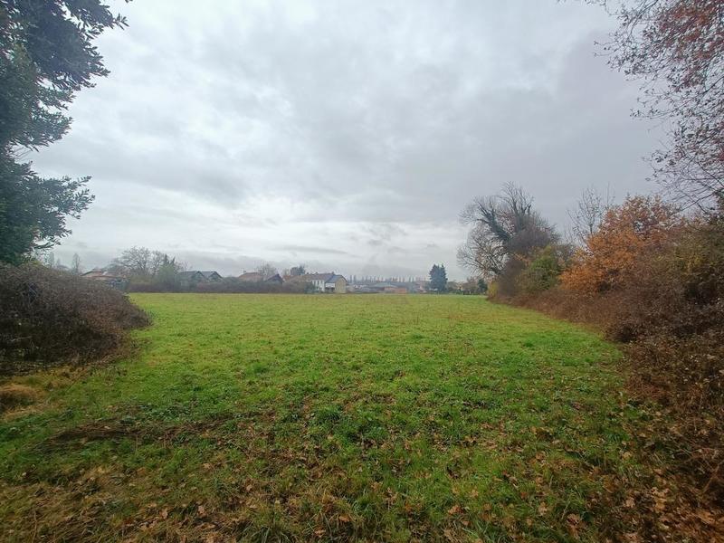 Terrain - 11 770 m²