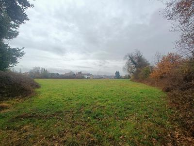 Terrain - 11 770 m²