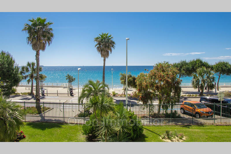 Appartement - 24 m² - 1 pièce