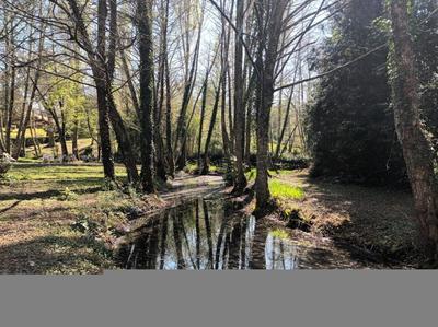 Propriété - 81 m² - 4 pièces