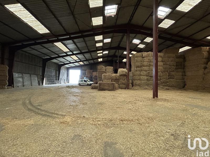 Local commercial - 2 900 m²