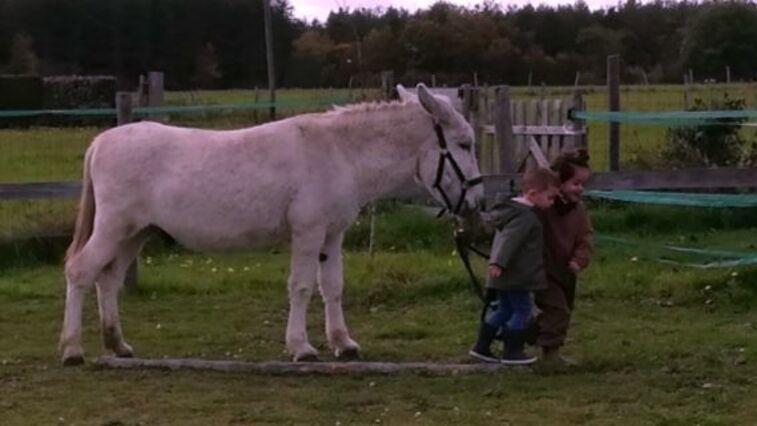 Atelier petit fermier (6 ans et +)