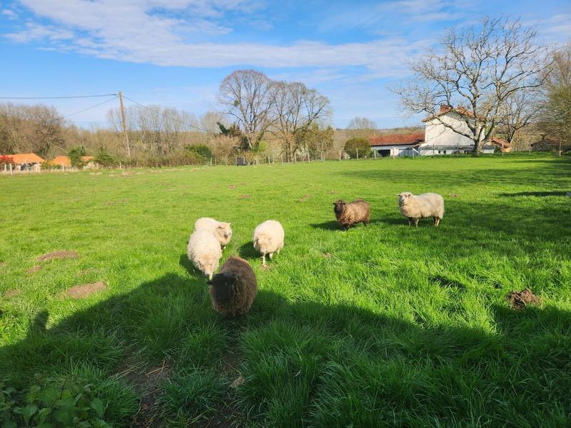 Maison - 150 m² - 4 pièces