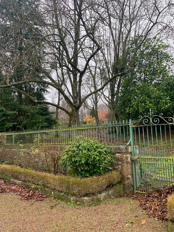 Maison en pierre - 290 m² - 9 pièces